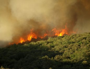 El campo en llamas: medidas urgentes que no pueden esperar ni un segundo más