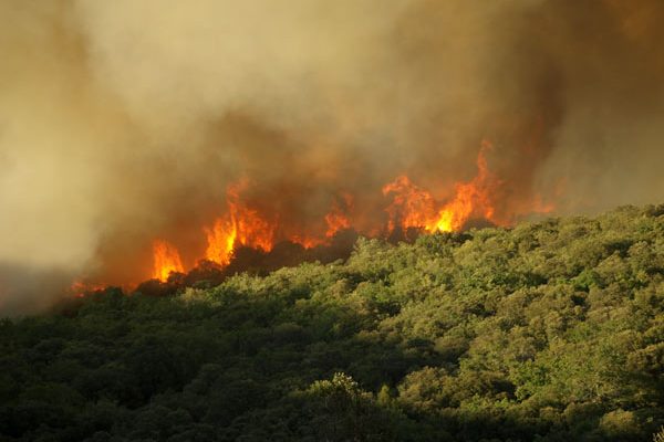 El campo en llamas: medidas urgentes que no pueden esperar ni un segundo más