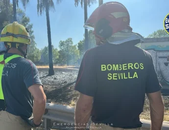 Nuevo incendio en la Isla de la Cartuja de Sevilla: importancia de la prevención