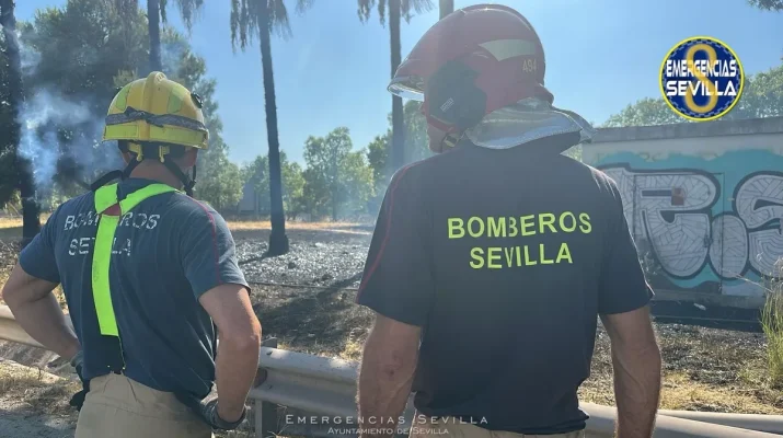 Nuevo incendio en la Isla de la Cartuja de Sevilla: importancia de la prevención