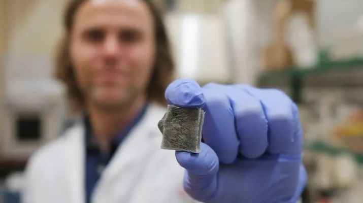 Material revolucionario de algas marinas: innovación en sostenibilidad, energía y prevención de incendios