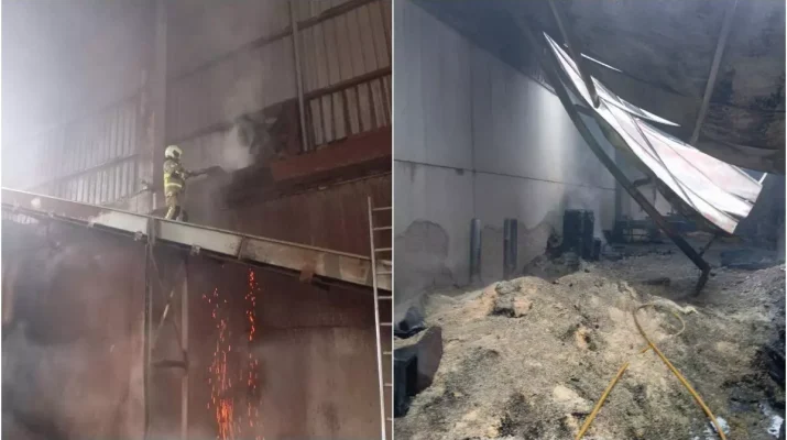 Incendio en aserradero de Brión: la importancia de la prevención y la protección industrial