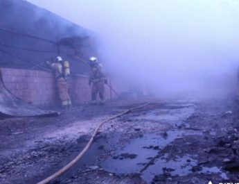 Incendio devastador en explotaciones porcinas de Zaragoza: análisis técnico, prevención y respuesta. Un suceso que reabre el debate