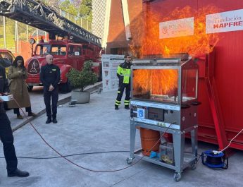 domésticos en España.