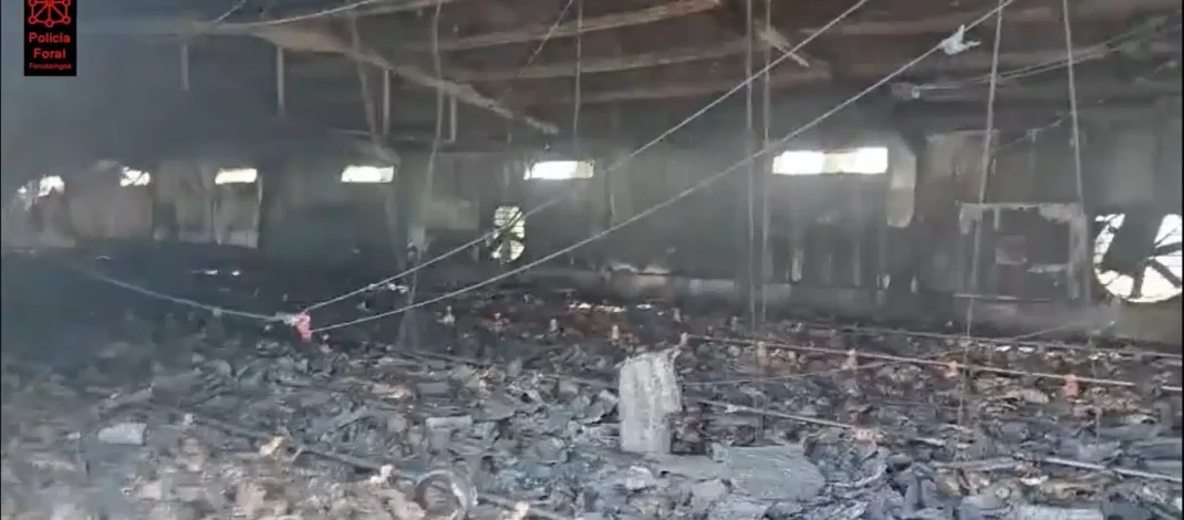 Incendio en explotación avícola de Villafranca deja más de 10.000 pollos muertos y pone el foco en los sistemas de calefacción. Siniestro en granja avícola