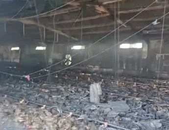 Incendio en explotación avícola de Villafranca deja más de 10.000 pollos muertos y pone el foco en los sistemas de calefacción. Siniestro en granja avícola